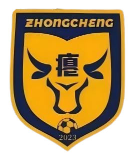  忠诚村足球队 